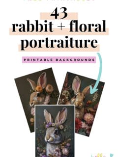 The Rabbits + Florals Portraiture Collection captures the essence of enchanting woodland escapades, featuring poised rabbits surrounded by nature's bounty. These creatively composed images, free for personal and commercial use, weave a visual narrative that is both whimsical and elegant, perfect for infusing a dash of fantasy into any project or product line.